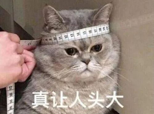 DƬ